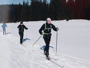 Lyžařský kurz