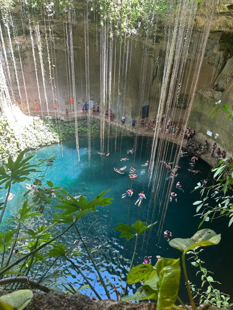 c30bb0c2 d298 40c3 8138 481bc90dd75c